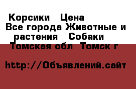 Корсики › Цена ­ 15 000 - Все города Животные и растения » Собаки   . Томская обл.,Томск г.